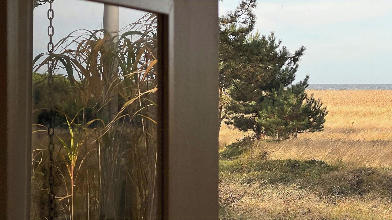 Photo of Others in Hoeve Strand
