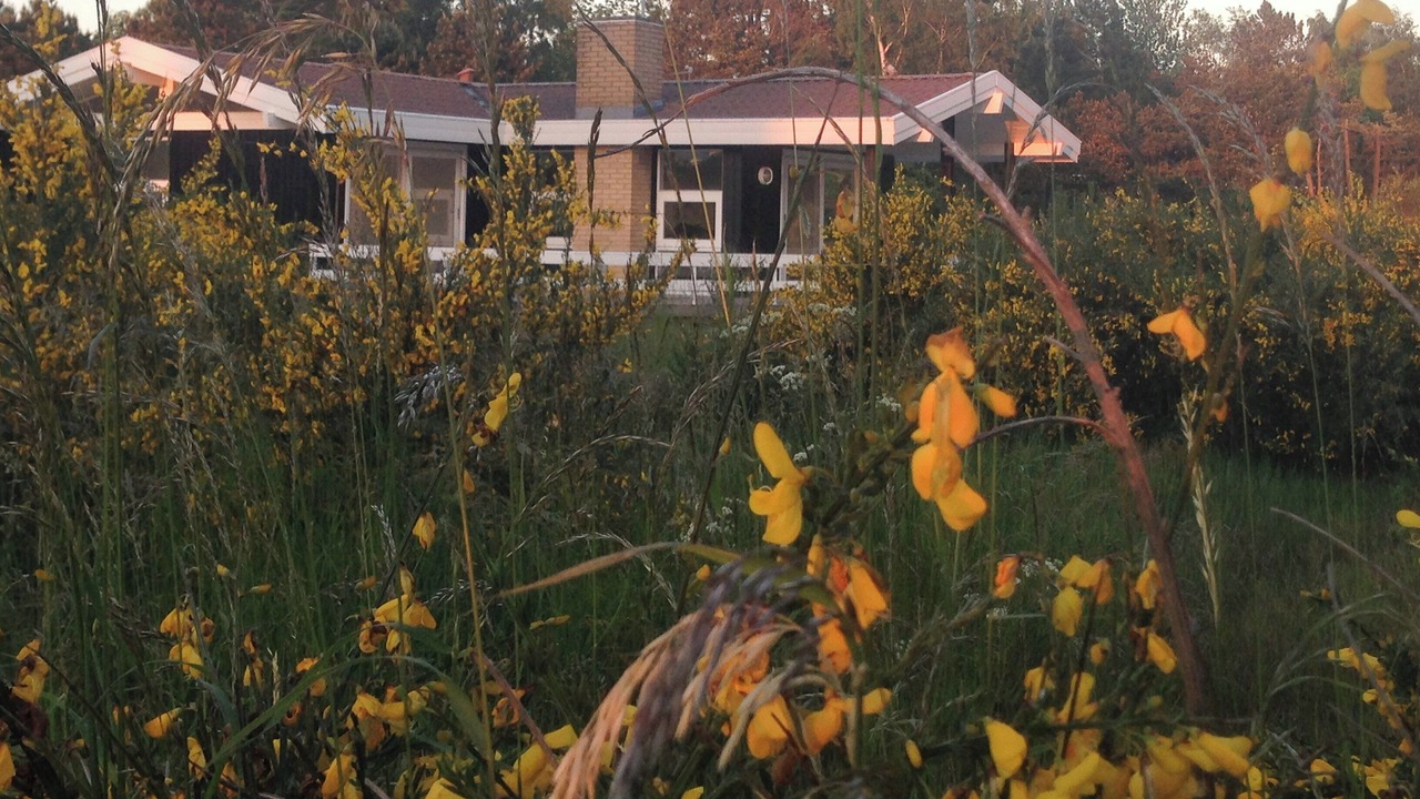 Photo of Outdoor in Martofte