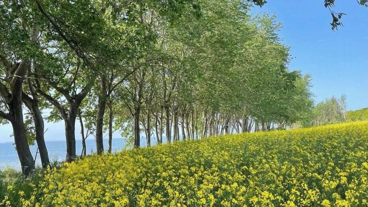Photo of Others in Korsor