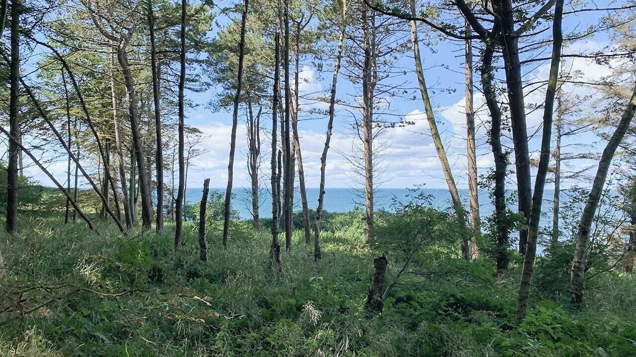 Photo of Others in Kalundborg