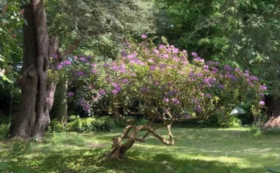 Photo of Outdoor in Saint-Martin-aux-Arbres