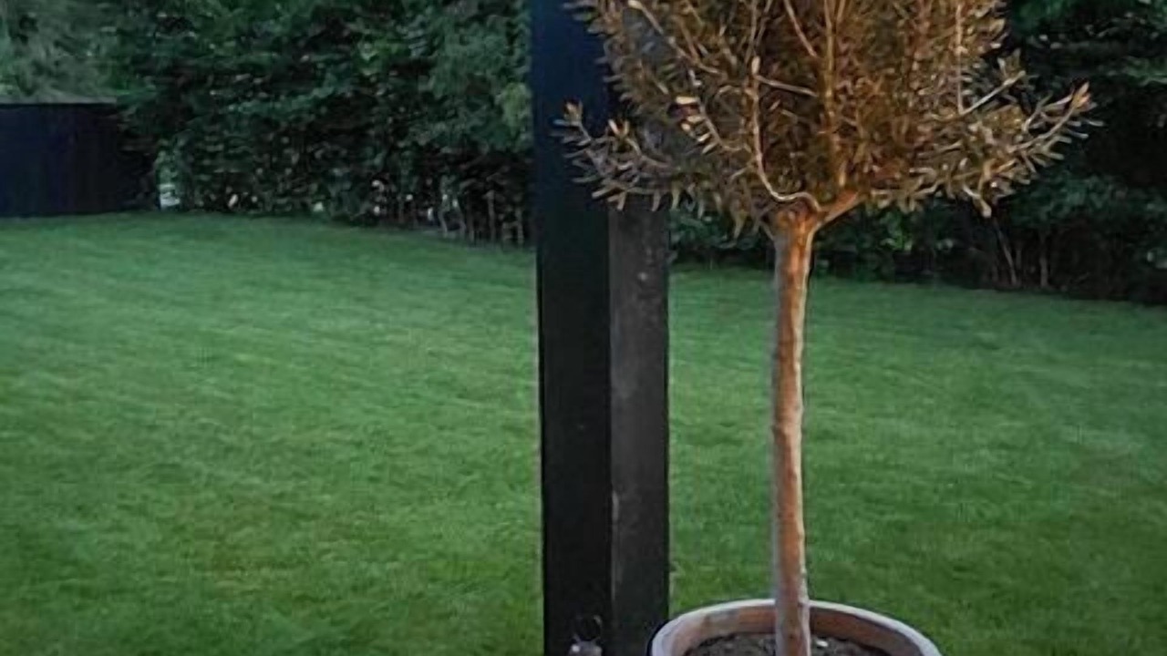 Photo of Outdoor in Hornbaek