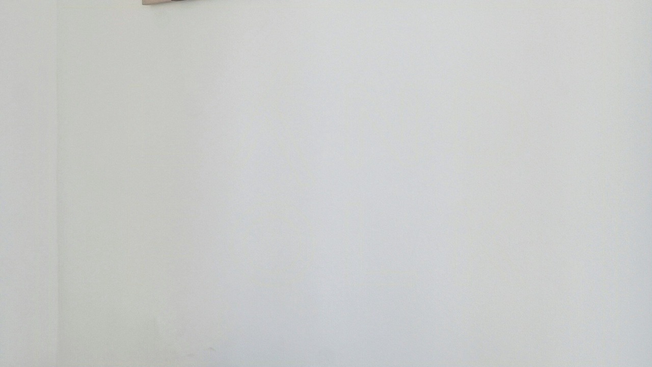 Photo of Others in Stege