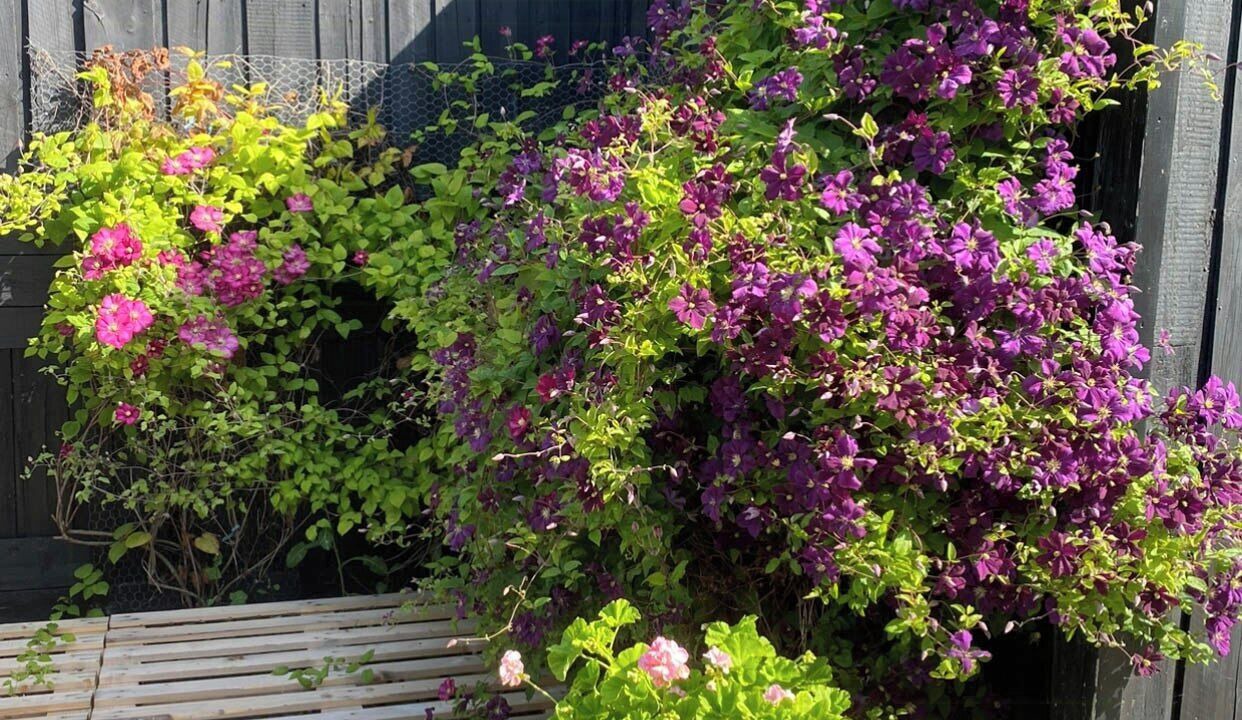 Photo of Outdoor in Kalundborg Municipality