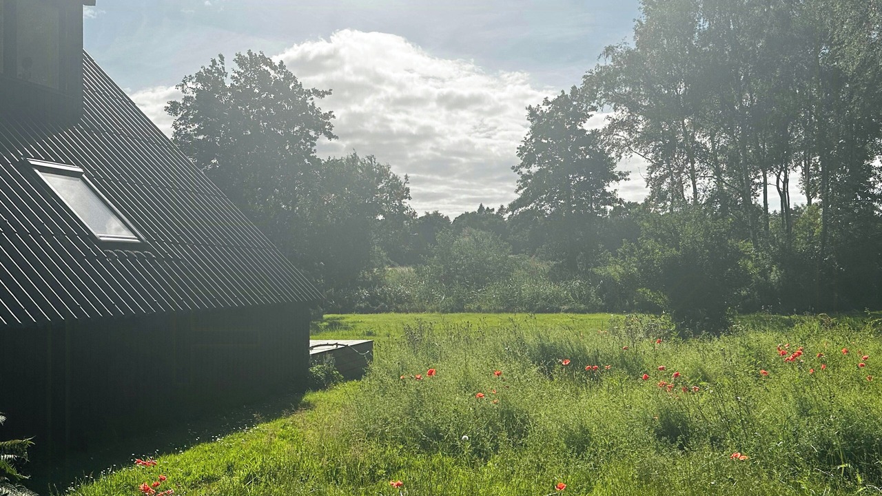 Photo of Outdoor in Klint
