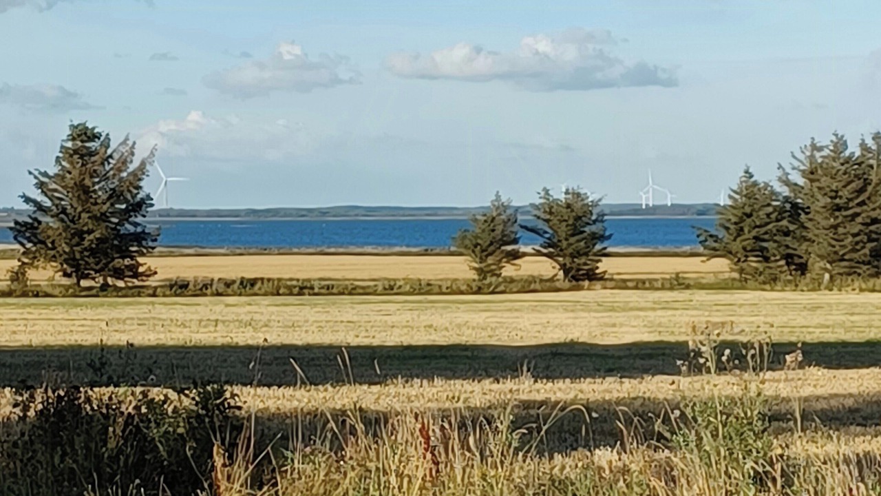 Photo of Others in Nørre Fjand