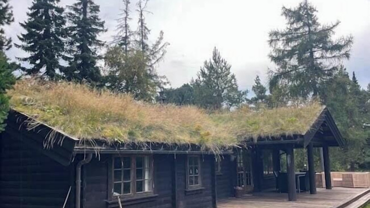 Photo of Outdoor in Rrvig