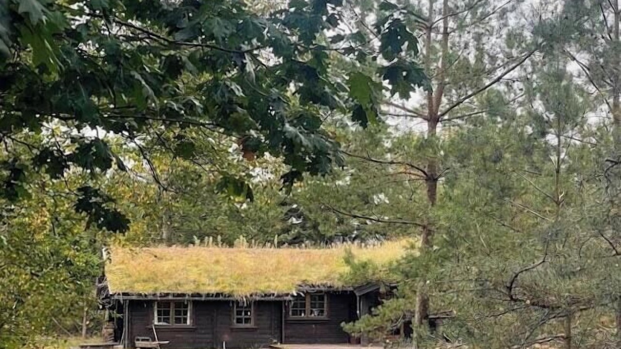 Photo of Outdoor in Rrvig