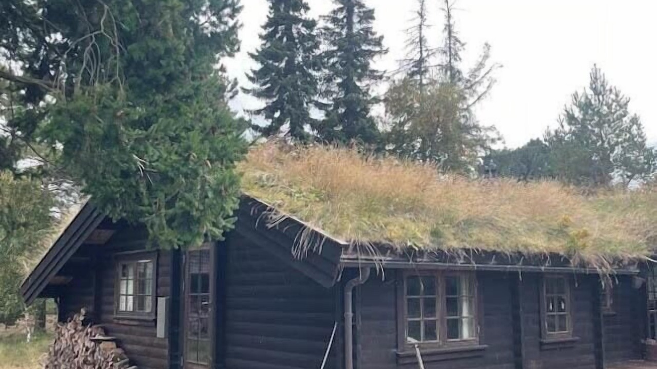 Photo of Outdoor in Rrvig