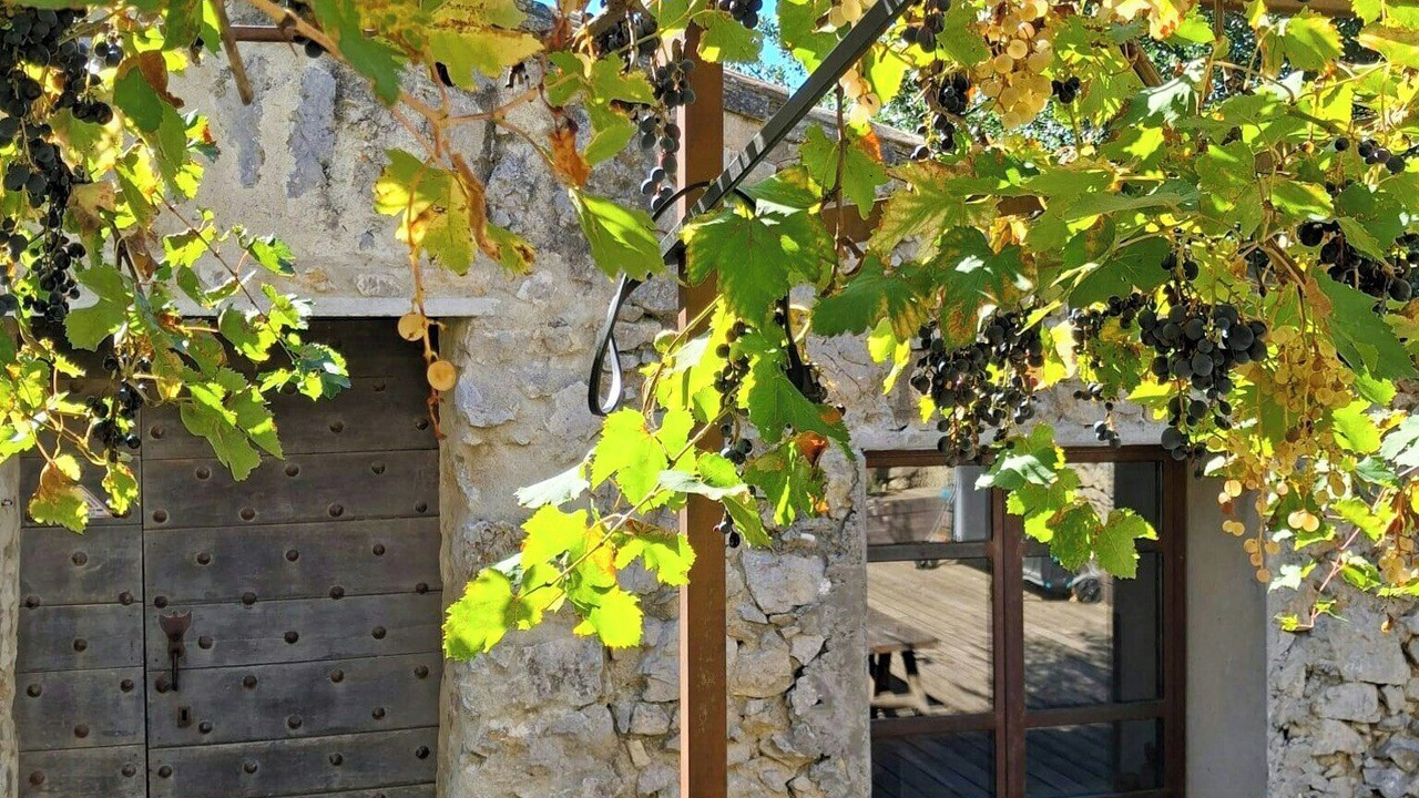 Photo of Outdoor in Roquefort-des-Corbieres