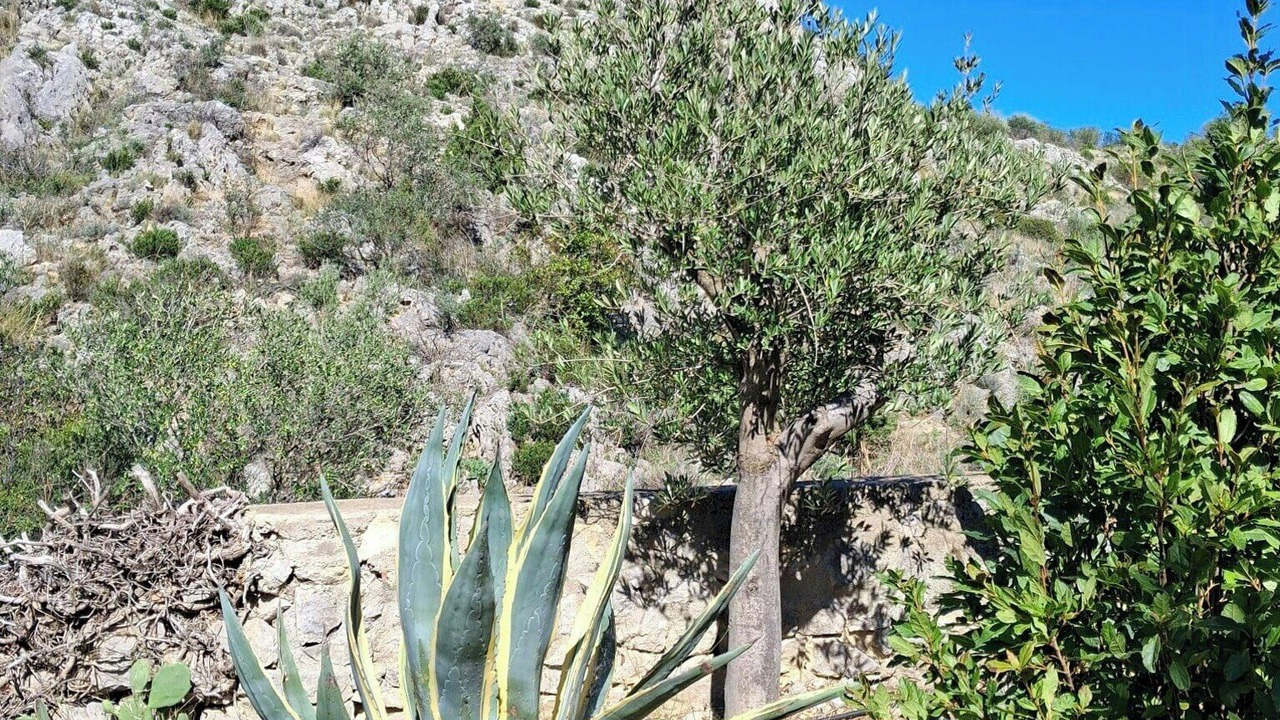Photo of Outdoor in Roquefort-des-Corbieres