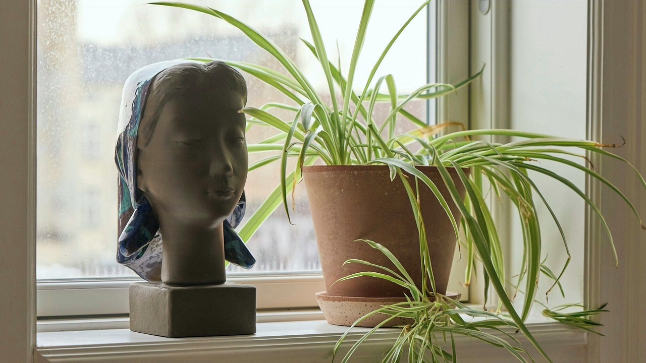 Photo of Others in Frederiksberg C