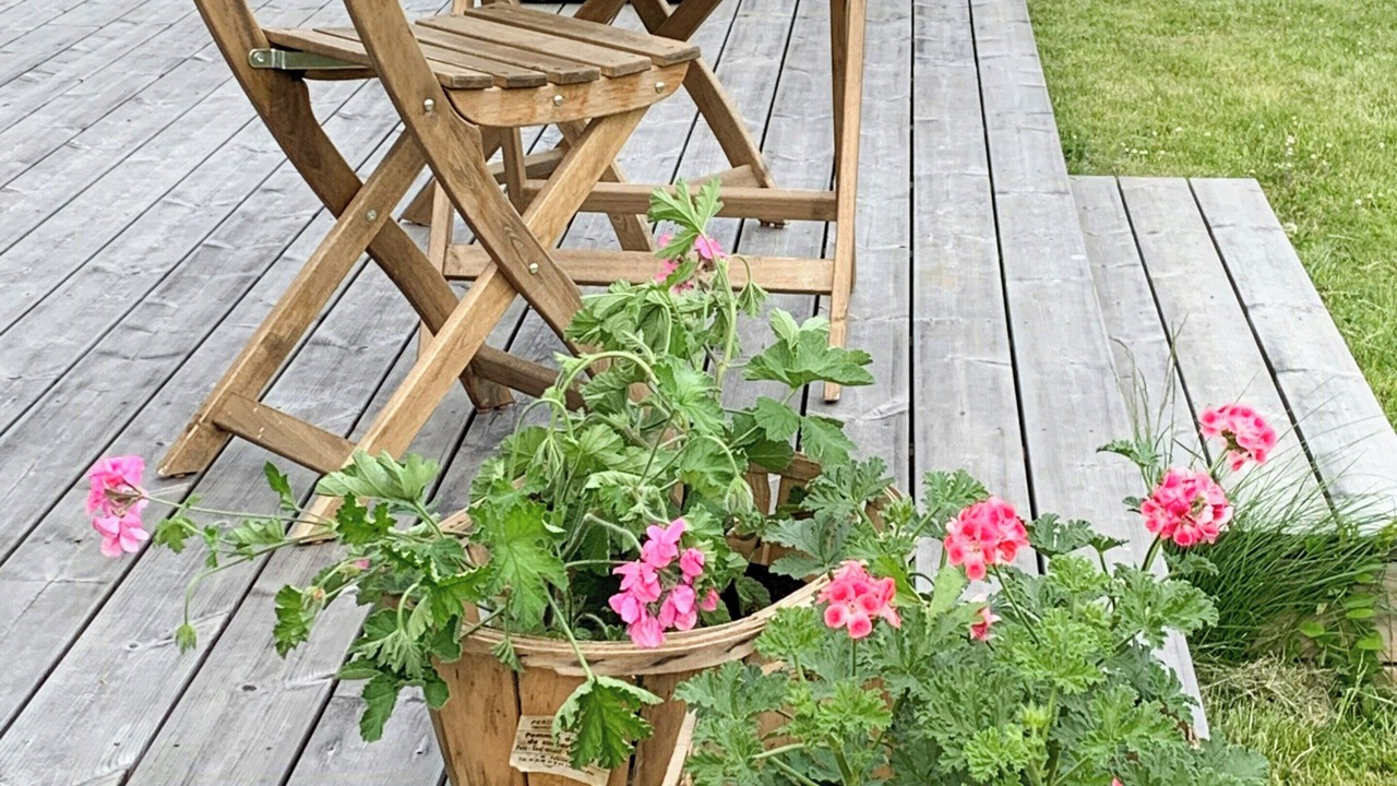 Photo of Outdoor in Hundested