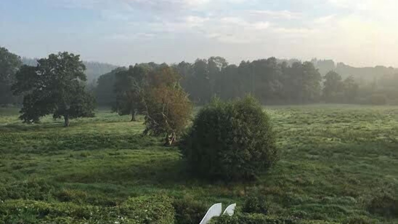 Photo of Others in Faaborg-Midtfyn Municipality