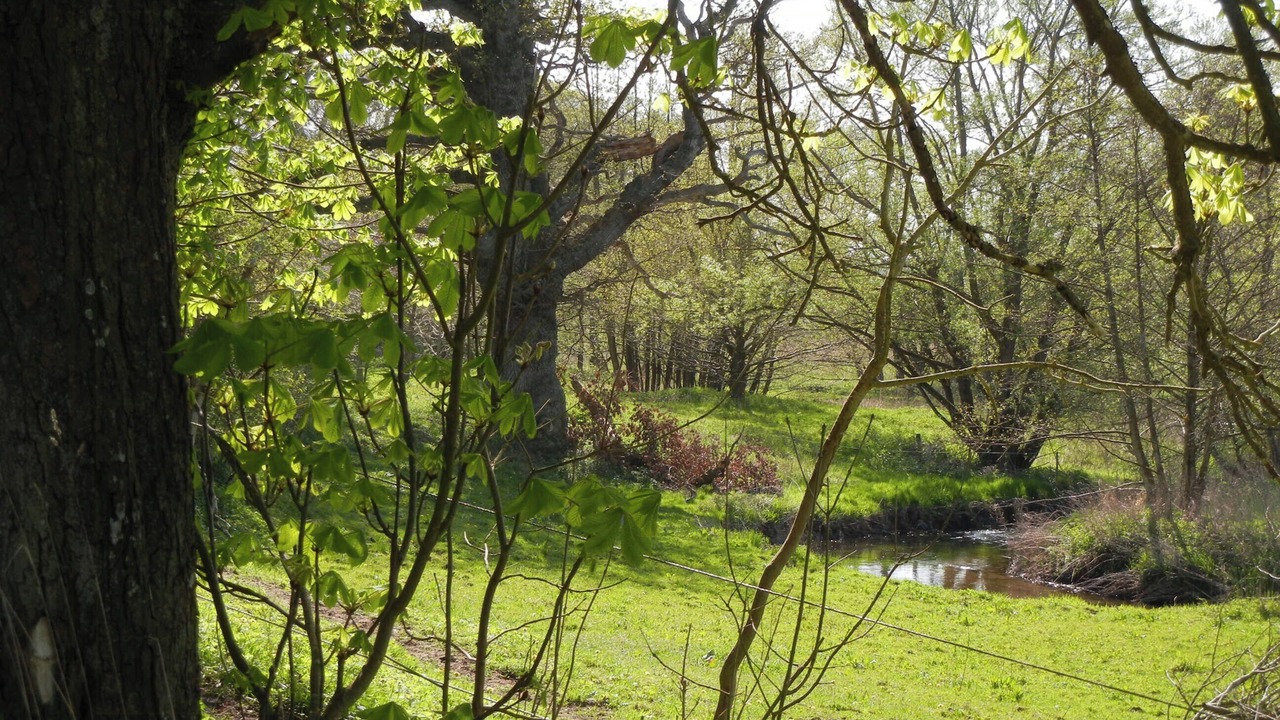 Photo of Outdoor in Faaborg-Midtfyn Municipality