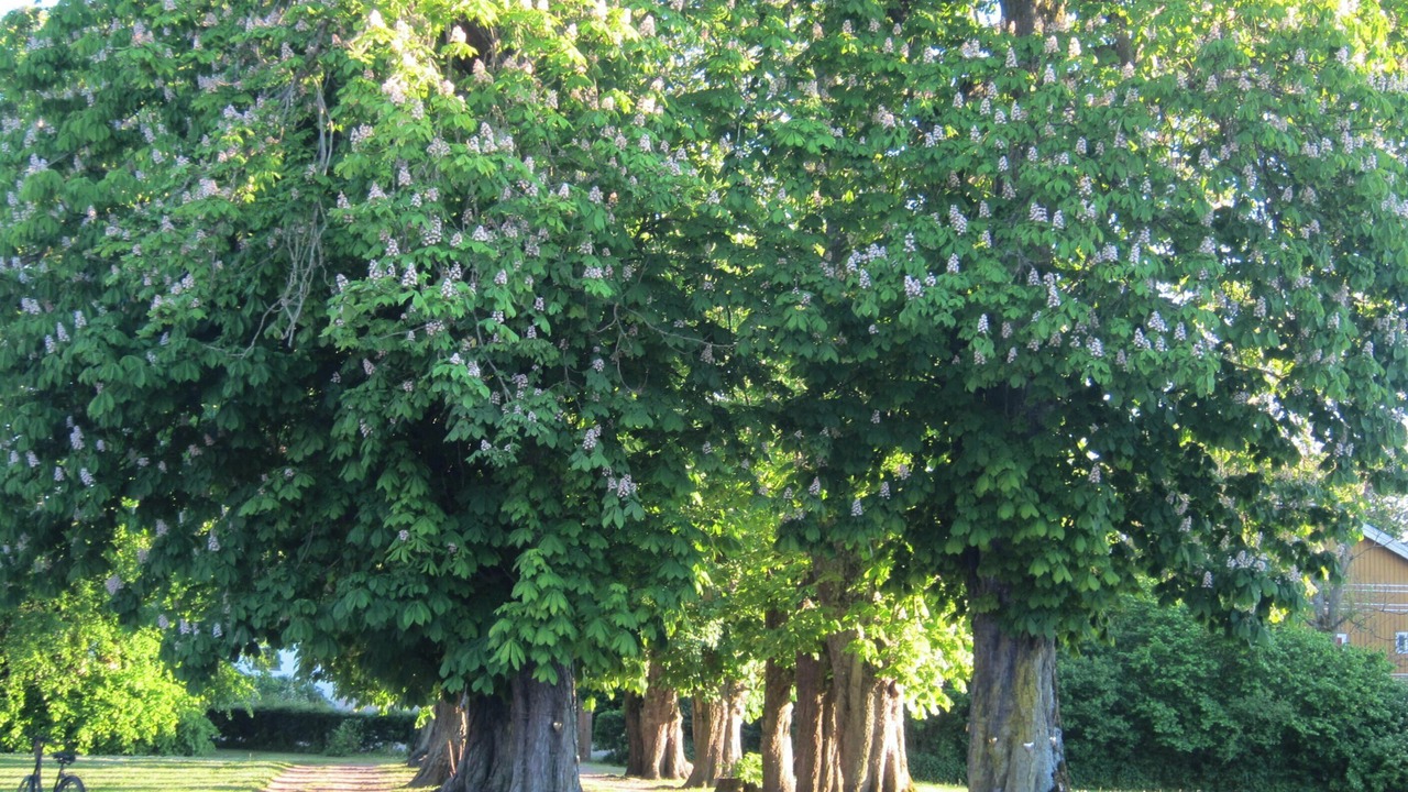 Photo of Outdoor in Faaborg-Midtfyn Municipality