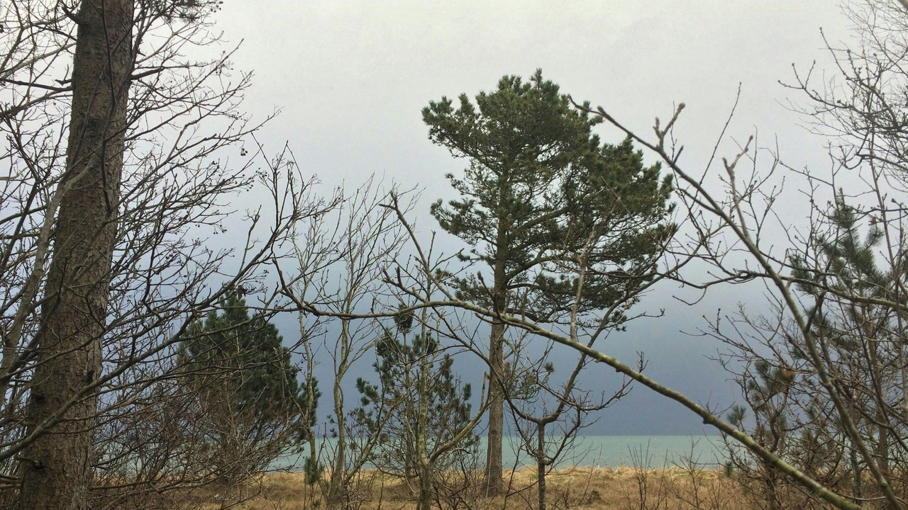 Photo of Others in Thyholm