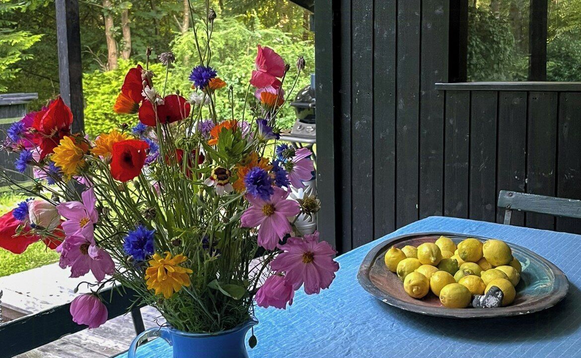 Photo of Outdoor in Tisvildeleje