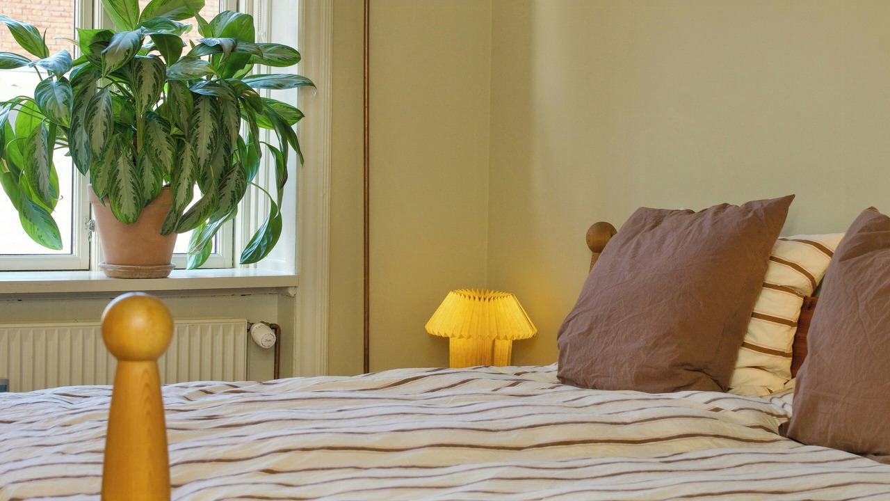 Photo of Bedroom in København N