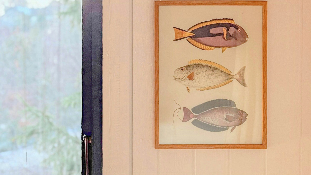Photo of Others in Femmøller