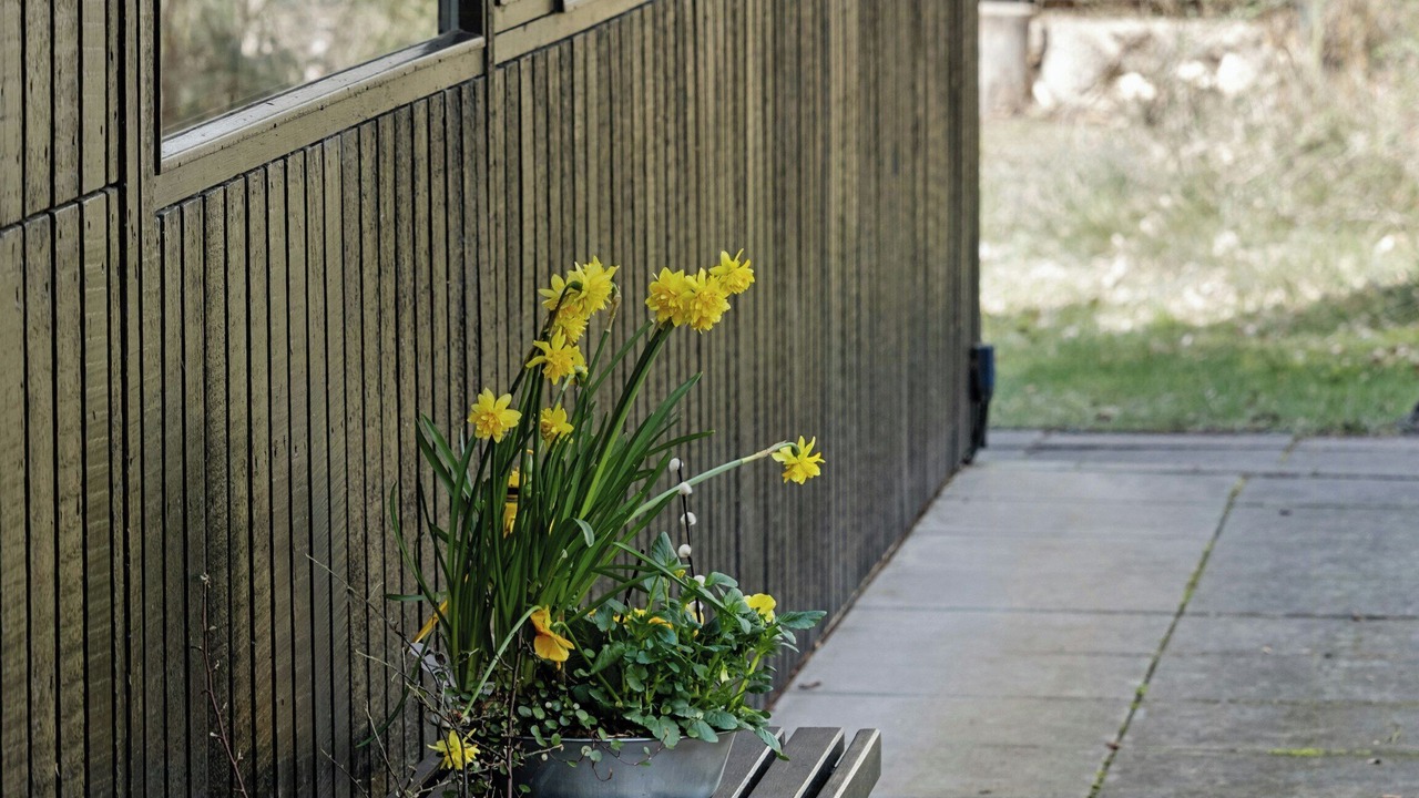 Photo of Patio Balcony in Hojslev