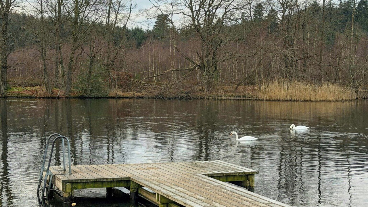 Photo of Others in Silkeborg