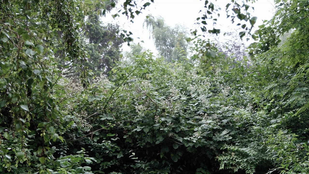 Photo of Outdoor in Or