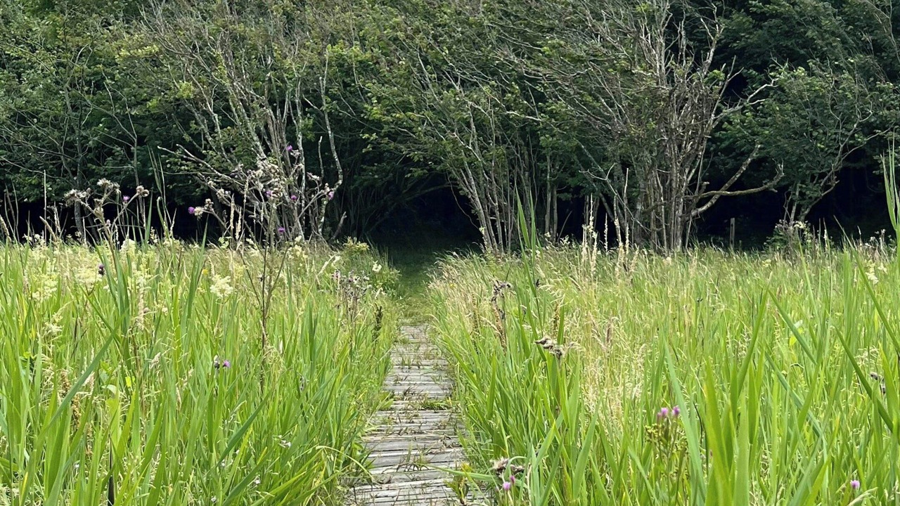 Photo of Outdoor in Tranum