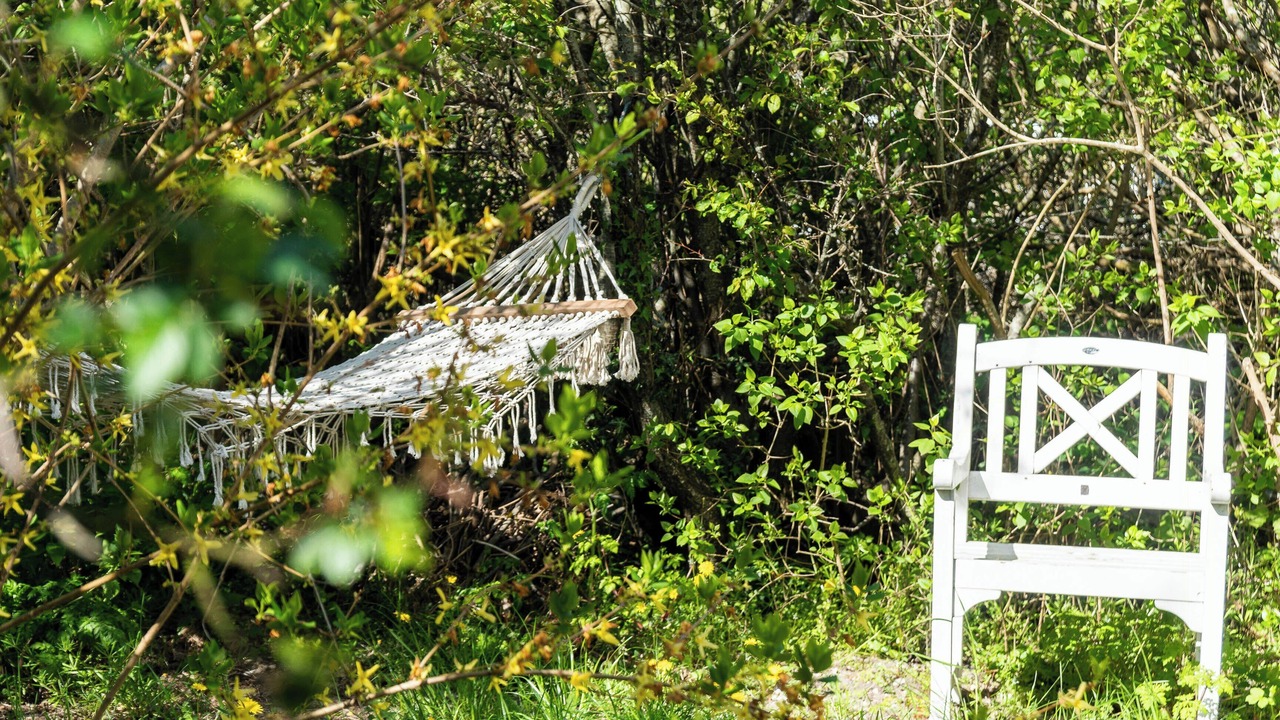 Photo of Outdoor in Nykobing Sjaelland