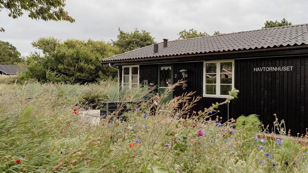 Photo of Outdoor in Tversted