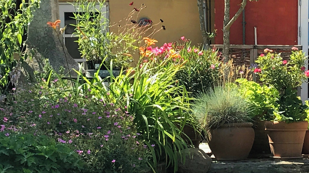 Photo of Outdoor in Svendborg