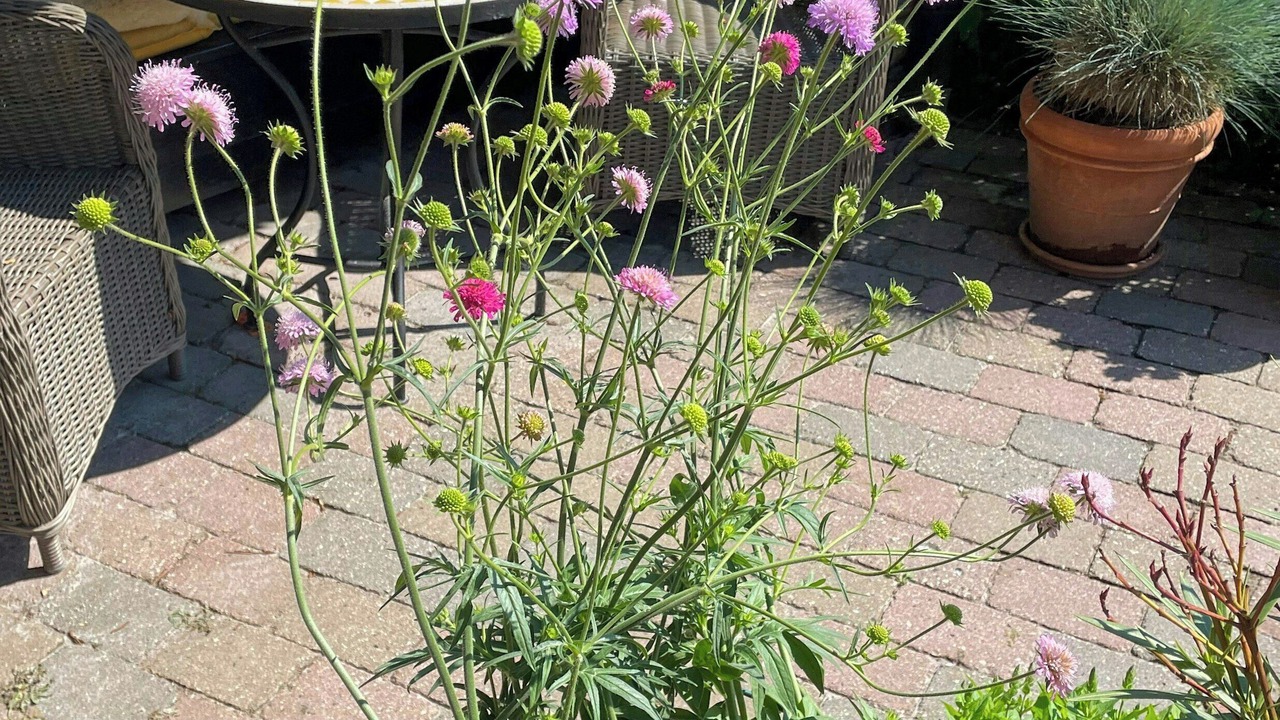 Photo of Outdoor in Svendborg