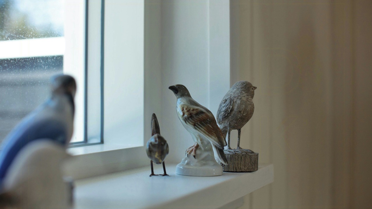 Photo of Others in Hoeve Strand