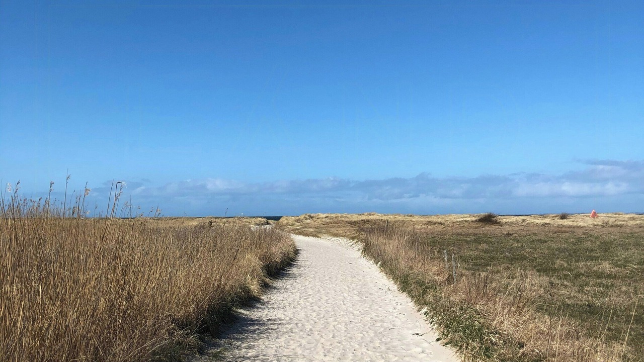 Photo of Others in Hoeve Strand