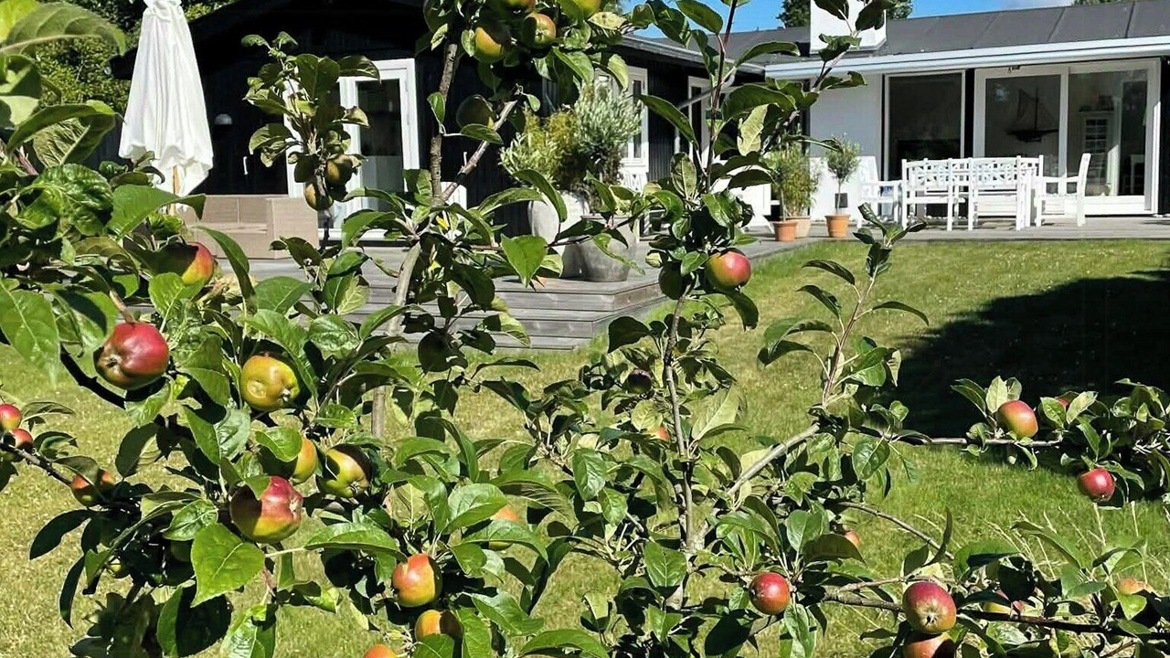 Photo of Outdoor in Hornbaek