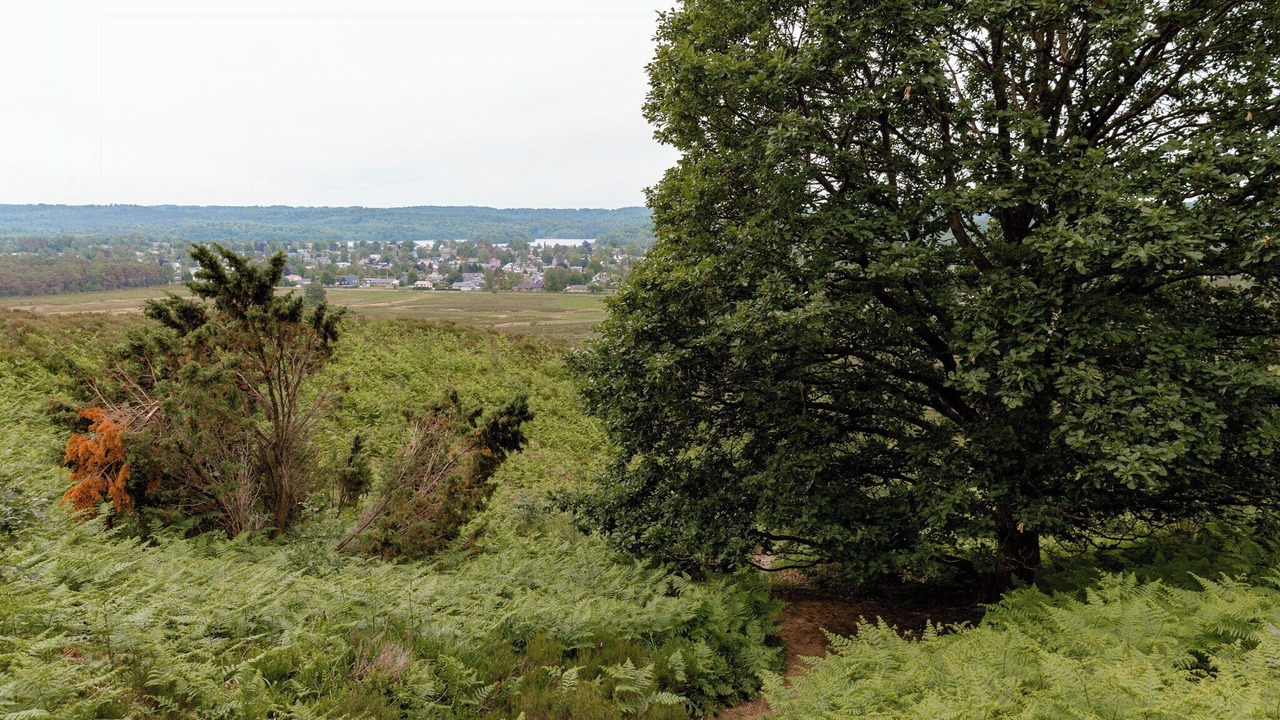 Photo of Others in Silkeborg