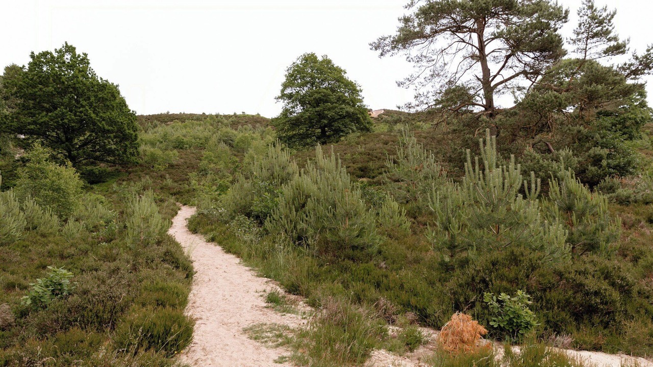 Photo of Others in Silkeborg
