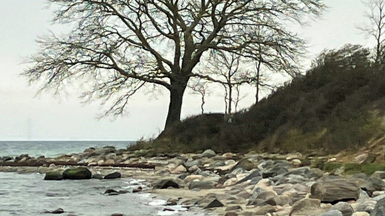 Photo of Others in Tranekaer