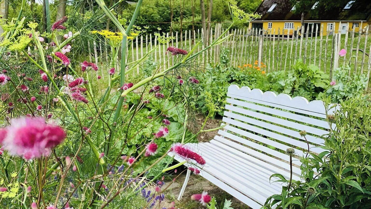 Photo of Outdoor in Faarevejle