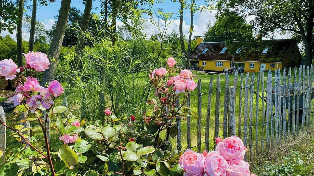 Photo of Outdoor in Faarevejle