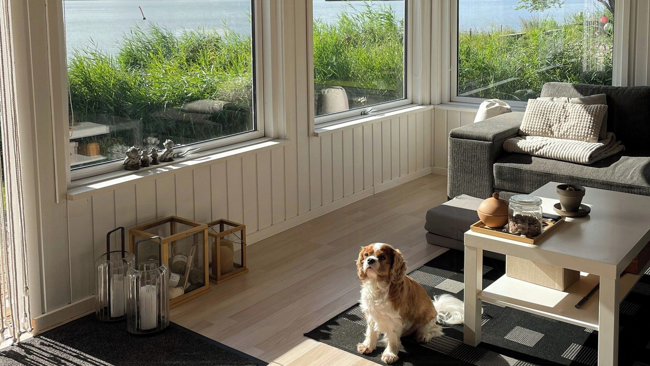 Photo of Livingroom in Randers Municipality