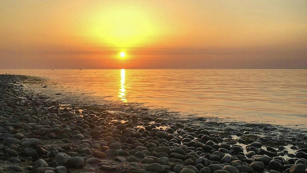 Photo of Others in Hoeve Strand