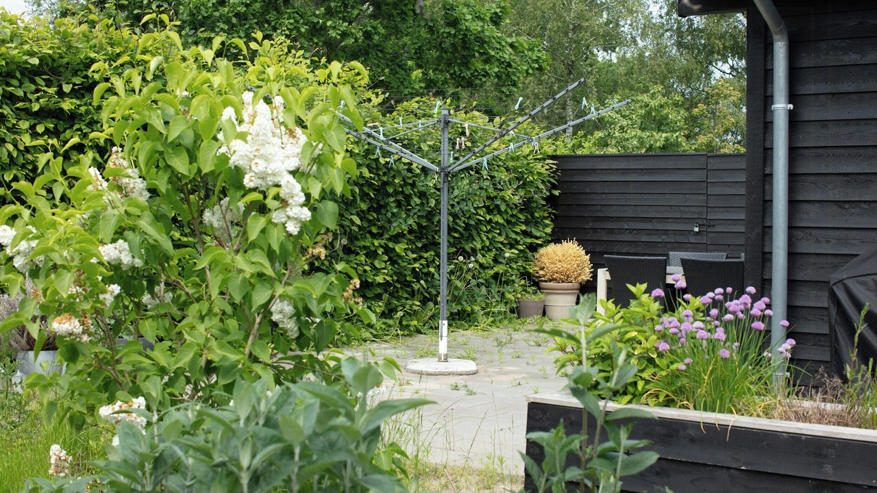 Photo of Outdoor in Holloselund