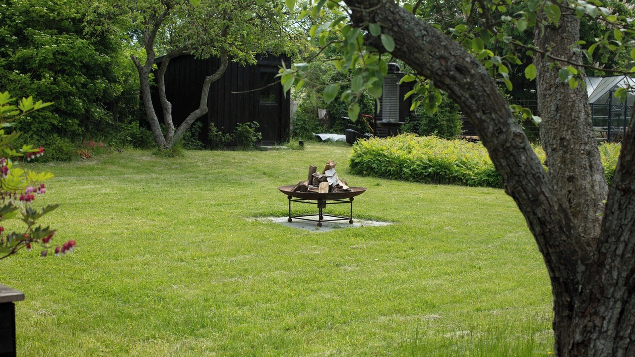 Photo of Outdoor in Holloselund