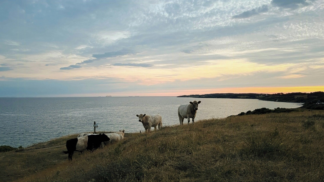 Photo of Others in Kalundborg