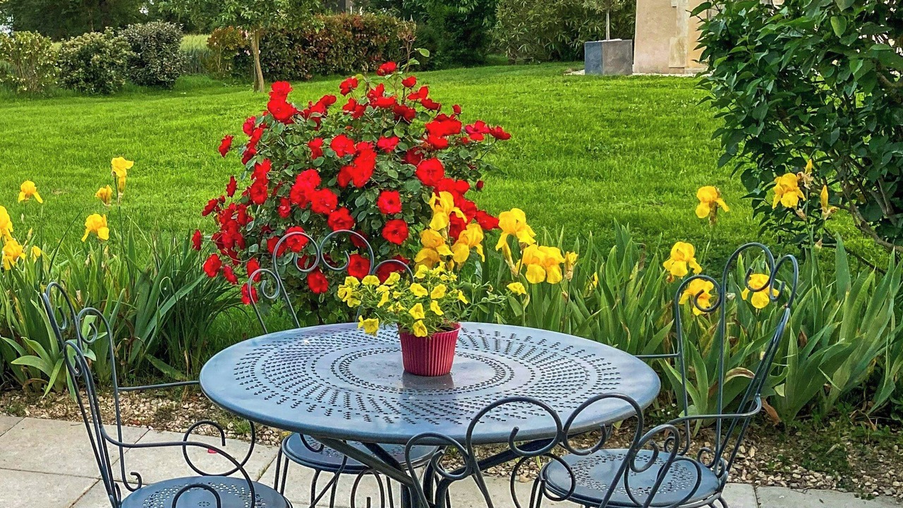 Photo of Outdoor in L'Isle-Jourdain