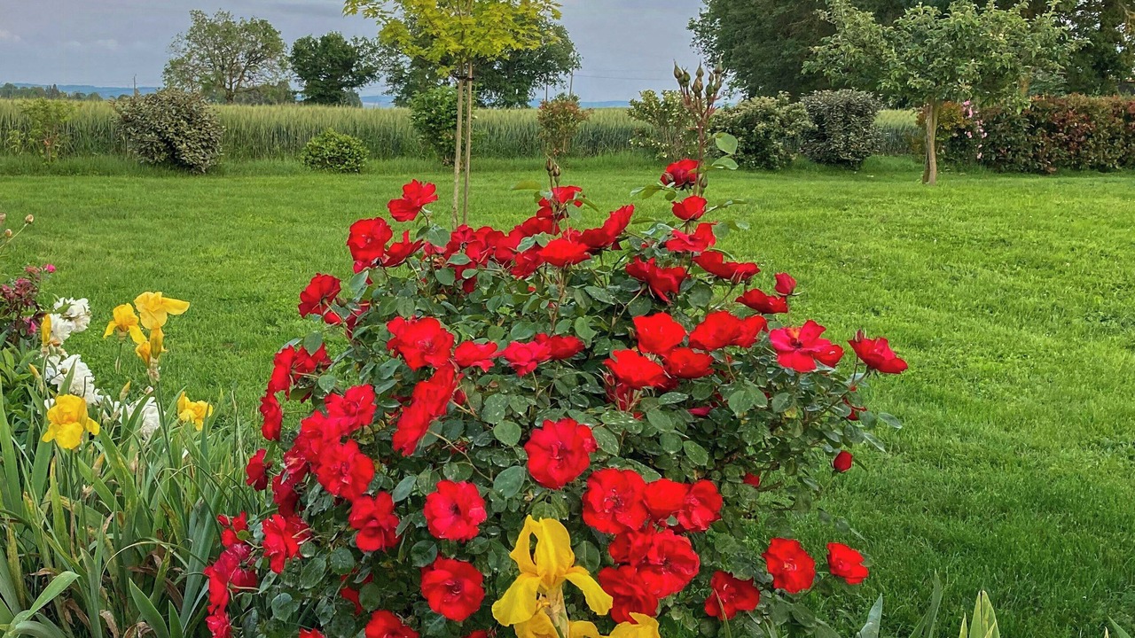 Photo of Outdoor in L'Isle-Jourdain