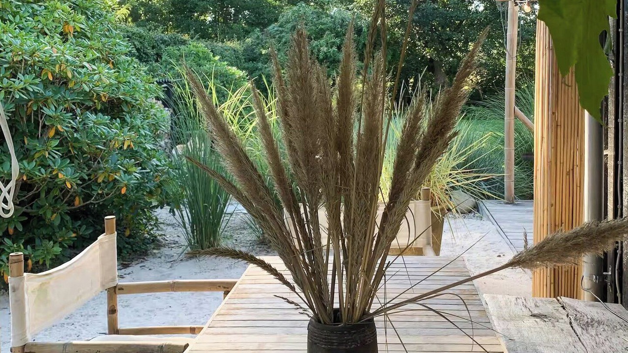 Photo of Patio Balcony in Dronningmolle