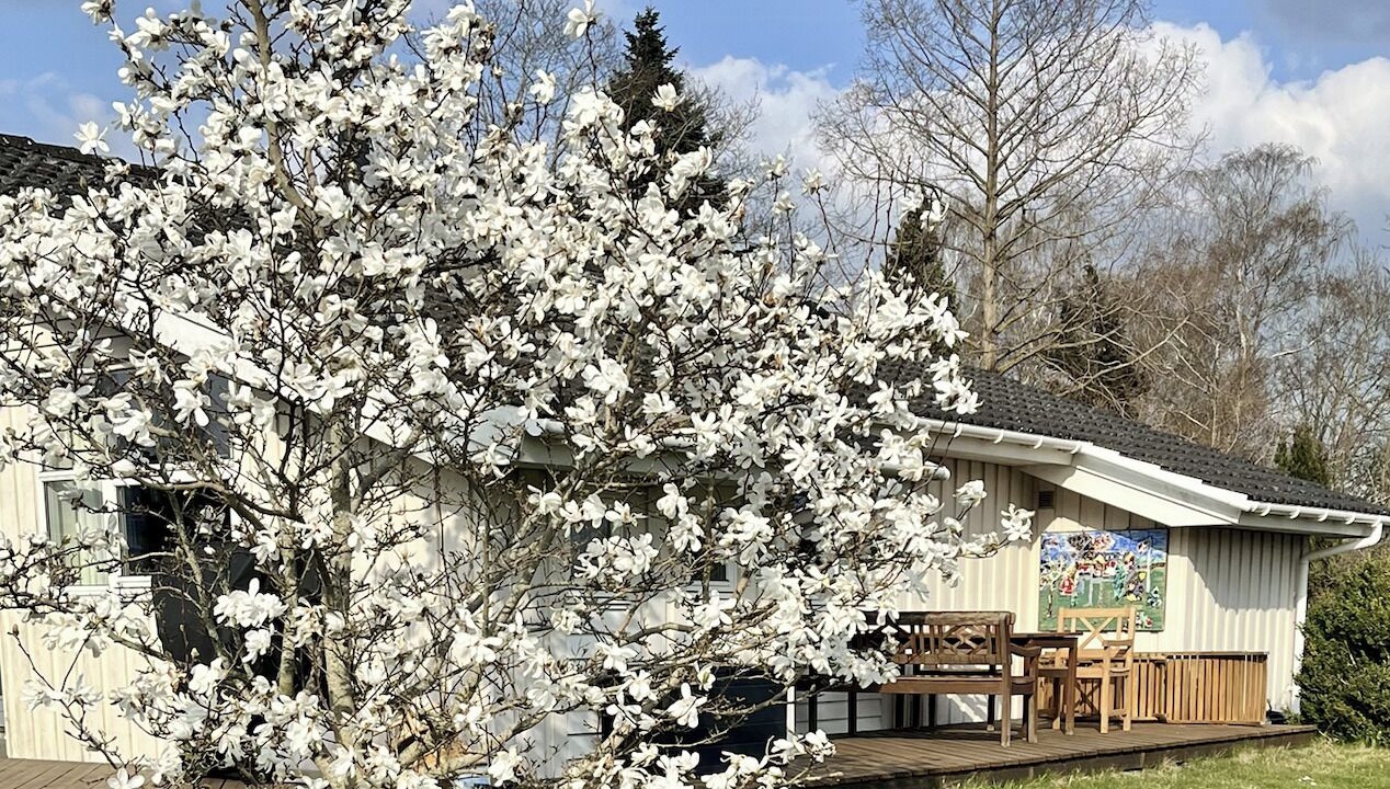 Photo of Outdoor in Olsted