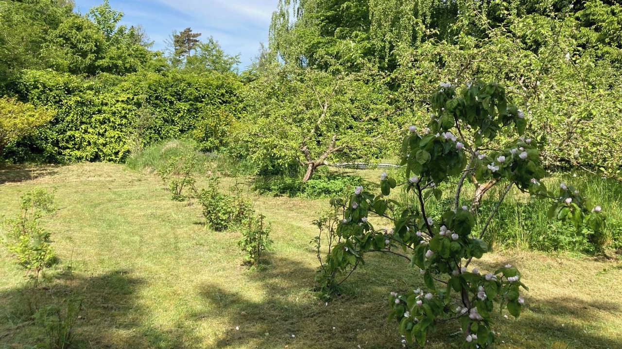 Photo of Outdoor in Tisvildeleje